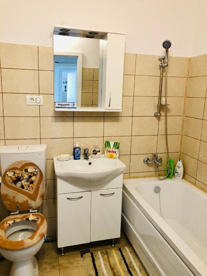 Joy City Stay Ionel Perlea 19 Timişoara Extérieur photo
